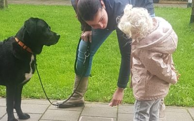 Het ontstaan van hondenangst