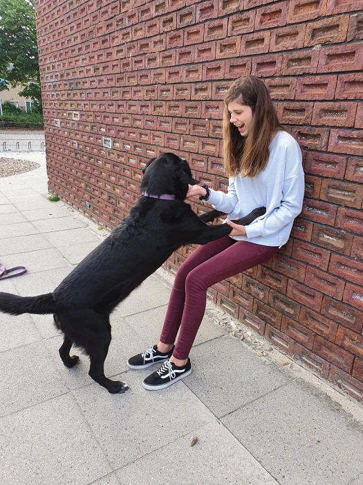 Topdog SOVAtraining 