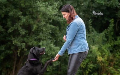 Hoe Lola mijn leven veranderde